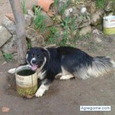 KUTXA chico soltero en Burgos