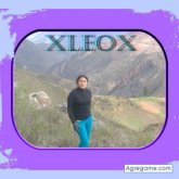 8978 foto #23