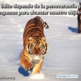 Nombre