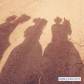 Chatear con yordialexis de Aldama