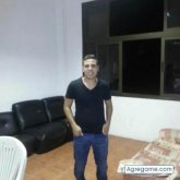 david