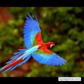 vicentedriguez chico soltero en Chepo