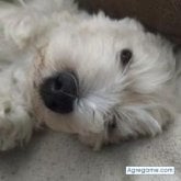 Busco conocer gente. Una amistad o