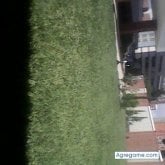 Foto de perfil de beteta