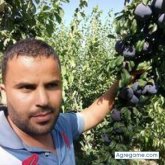 Foto de perfil de larbilkhalouki