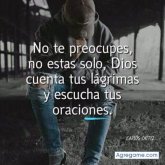 Chatear con stanleycampos de Colonia Escalón