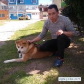 andresperez7784 chico soltero en Bogotá