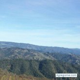 guanso chico soltero en Visalia