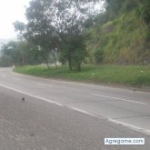 arielamador7604 chico soltero en Choloma