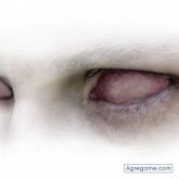 SANGREAZTEKA foto #280