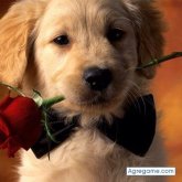 alainr chico soltero en 