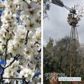 claudiojacobi chico soltero en Crespo