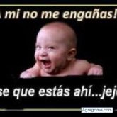 capelo chico soltero en Santo Domingo