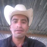 baironrodasrodas