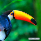 vicentedriguez chico soltero en Chepo