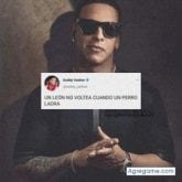 Busco: la verdad amistad y si se da algo bonito bienvenido