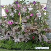 wilianomar5263 chico soltero en Cocoa Beach