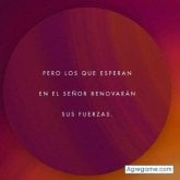 Antonio Lopez