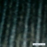 Terciopelo chico soltero en Barcelona