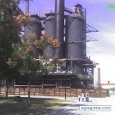 chipotlevengador foto #9