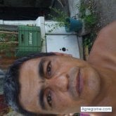 Dardo31
