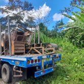 Busco pareja. Alguna mujer madura con