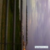 solosoysalvaje foto #20