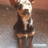 YaimaMartin chica casada en Miramar