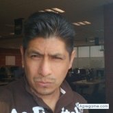 rojofox