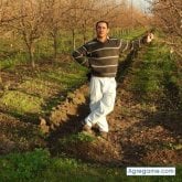 Foto de perfil de luisgonzalez1321