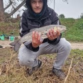 Busco pareja. Mis preferencias son las