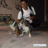 Anivaljuan chico soltero en Calderón