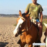 aquiles