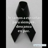 Chatear con untal7340 de Zaragoza