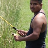 Busco pareja. A mí media naranja.