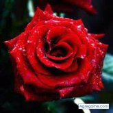 Fuego42 chico separado en Paso Molino