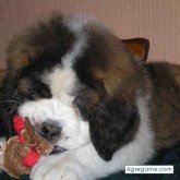 katy221 chica soltera en Buenos Aires