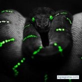 Chatear con 888luck de Villa Tunari