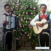 Yasmani