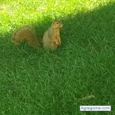 Chatear con bonilla1983brayan de Sioux City