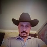 anselmolooez