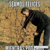 pabloortega1455 chico soltero en Benameji