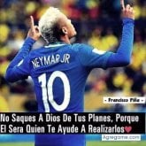 Foto de perfil de jfd12