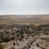 Busco pareja. Mujer que sea de confianza