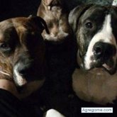 benisoy chico soltero en Verin