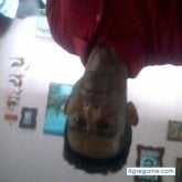 Foto de perfil de Willianmiguel
