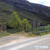 Pedroamigo chico soltero en Porzuna