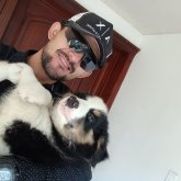 perfectdogstraining
