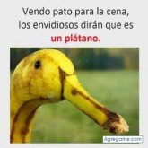 nelson301989 foto #27