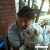 alcide chico soltero en La Plata